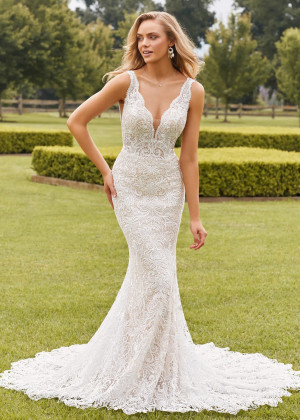 V Neck Ivory Allover Lace Elegant Bohemian Wedding Dress